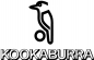 Kookaburra
