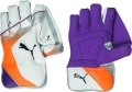 Puma Calibre 3000 Wicket Keeping Gloves (Junior)
