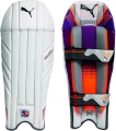 Puma Calibre 3000 Wicket Keeping Legguards (Junior)