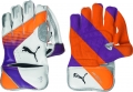 Puma Calibre 4000 Wicket Keeping Gloves