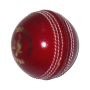 Leather Cricket Balls