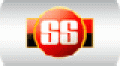 SS (Sareen Sports) Wicket Keeping Pads 2011