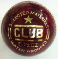 Talent Cricket Club Ball