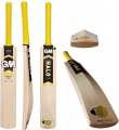 Gunn and Moore Halo DXM 505 GM NOW Cricket Bat