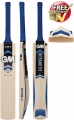 Gunn and Moore Octane F2 DXM 606 GM NOW Cricket Bat