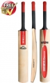 Gray Nicolls GN100 Pre-Prepared Cricket Bat