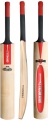 Gray Nicolls GN100 Pre - Prepared Junior Cricket Bat