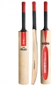 Gray Nicolls GN100 Pre - Prepared Junior Cricket Bat