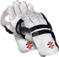 Gray Nicolls Oblivion Wicket Keeping Gloves