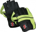 Gray Nicolls Powerbow Players Wicket Keeping Gloves