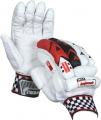 Gray Nicolls Quantum 5 Star Batting Gloves (Junior)