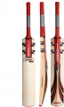 Gray Nicolls Quantum Warrior Pre - Prepared Cricket Bat