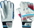 Puma Karbon 3000 Batting Gloves (Junior)