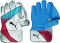 Puma Karbon 3000 Wicket Keeping Glove (Junior)