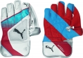 Puma Karbon 4000 Air Wicket Keeping Gloves