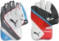 Puma Karbon 4000 Airmesh Wicket Keeping Gloves (Junior)