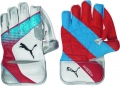 Puma Karbon 5000 Wicket Keeping Gloves