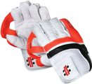 Wicket Keeping Gloves