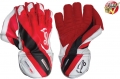 Kookaburra Haddin 1000 Wicket Keeping Gloves