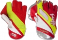 Kookaburra Players Wicket Keeping Gloves