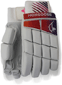 Mongoose Batting Gloves 2012