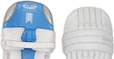 Newbery Batting Pads 2012