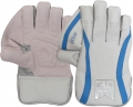 Newbery Tour Wicket Keeping Gloves (Junior)