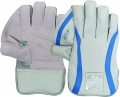 Newbery Tour Wicket Keeping Gloves