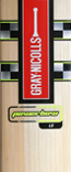 Gray Nicolls Powerbow Cricket Bats