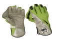 Aero KPR Wicket Keeping Gloves