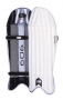 GM 606 Wicket Keeping Pads