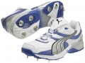 Puma Iridium Full Spike