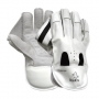 Readers Challenger Wicket Keeping Gloves