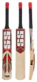 SS Ton Matrix Cricket Bat