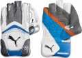 Puma Bionic 4000 Wicket Keeping Gloves (Junior)