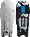 Puma Bionic 4000 Batting Pads (Junior)