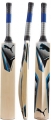 Puma Bionic Force GT (Kashmir Willow) Junior Cricket Bat