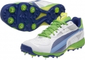 Puma evoSPEED Spike