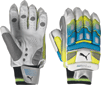 Puma Batting Gloves 2012