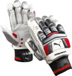 Puma Batting Gloves