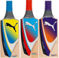 Puma Junior Cricket Bats 2012