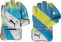 Puma Wicket Keeping Gloves 2012