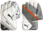Puma Wicket Keeping Gloves
