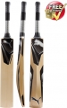 Puma Platinum 6000 Cricket Bat