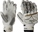 Salix Batting Gloves