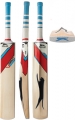 Slazenger V360 Select Cricket Bat