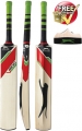 Slazenger V600 Test Cricket Bat