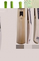 Newbery TT SPS Cricket Bat