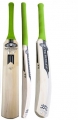 Newbery TT Players Junior Cricket Bat