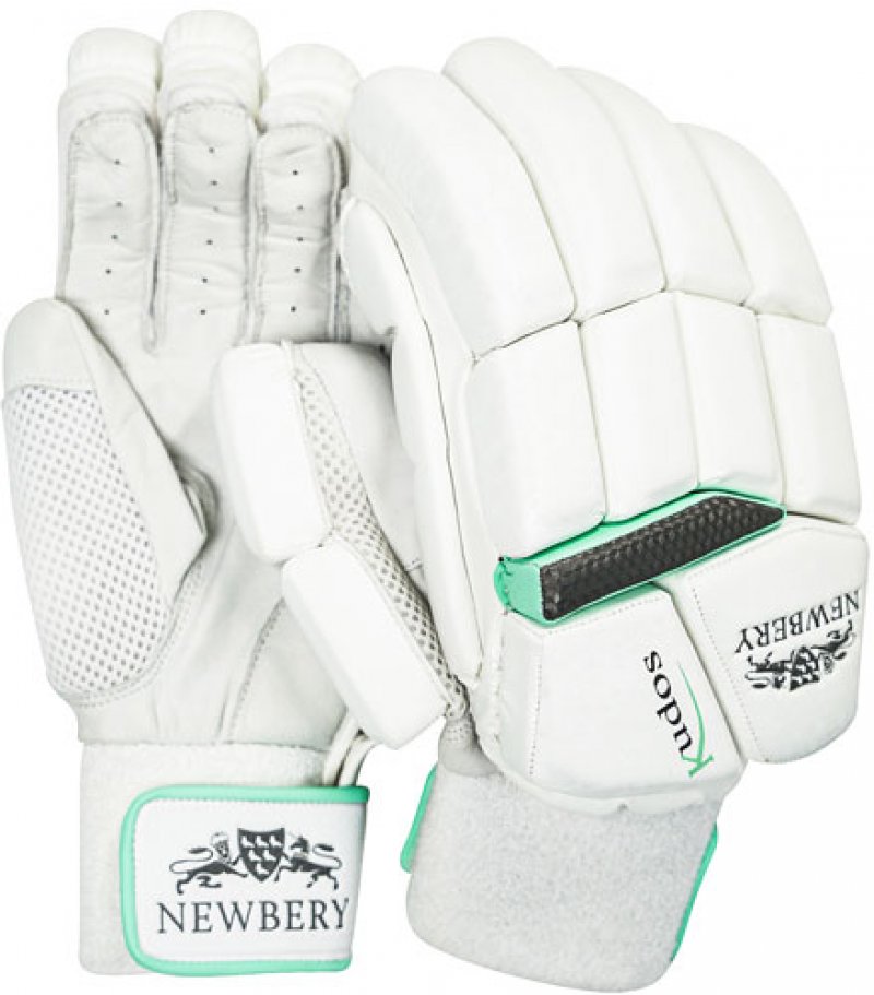Newbery Kudos Batting Gloves (Junior)
